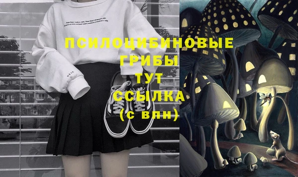 ALPHA-PVP Козельск