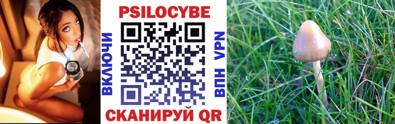 Купить закладки  Малгобек  Галлюциногенные грибы прущие грибы 