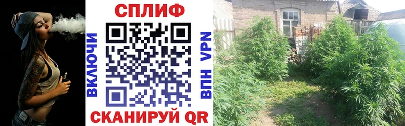 Купить закладки  Малгобек  Шишки марихуана семена 